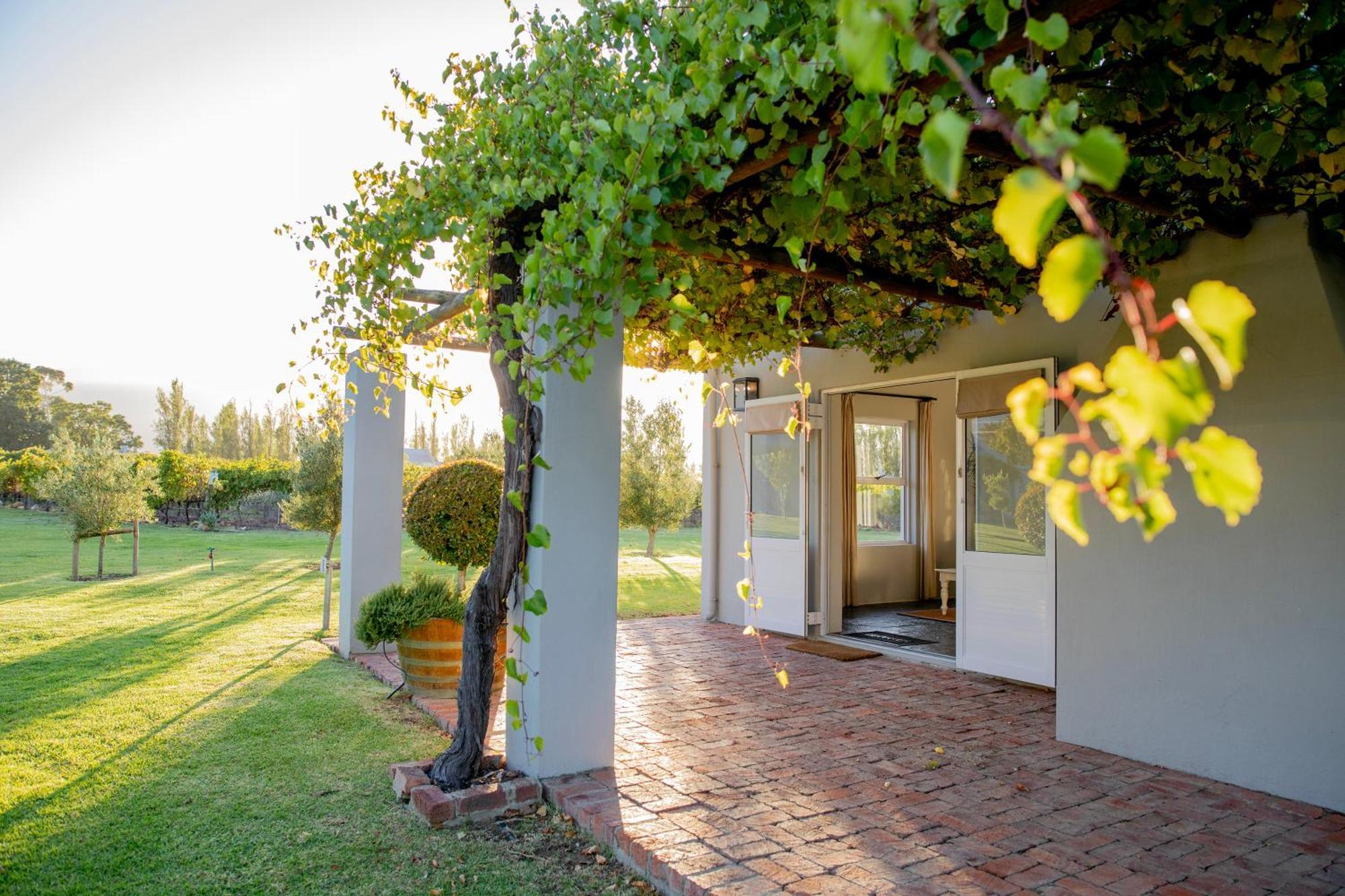 Saronsberg Vineyard Cottages Tulbagh Zewnętrze zdjęcie