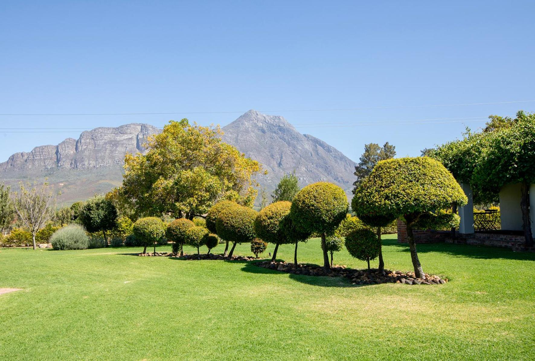 Saronsberg Vineyard Cottages Tulbagh Zewnętrze zdjęcie