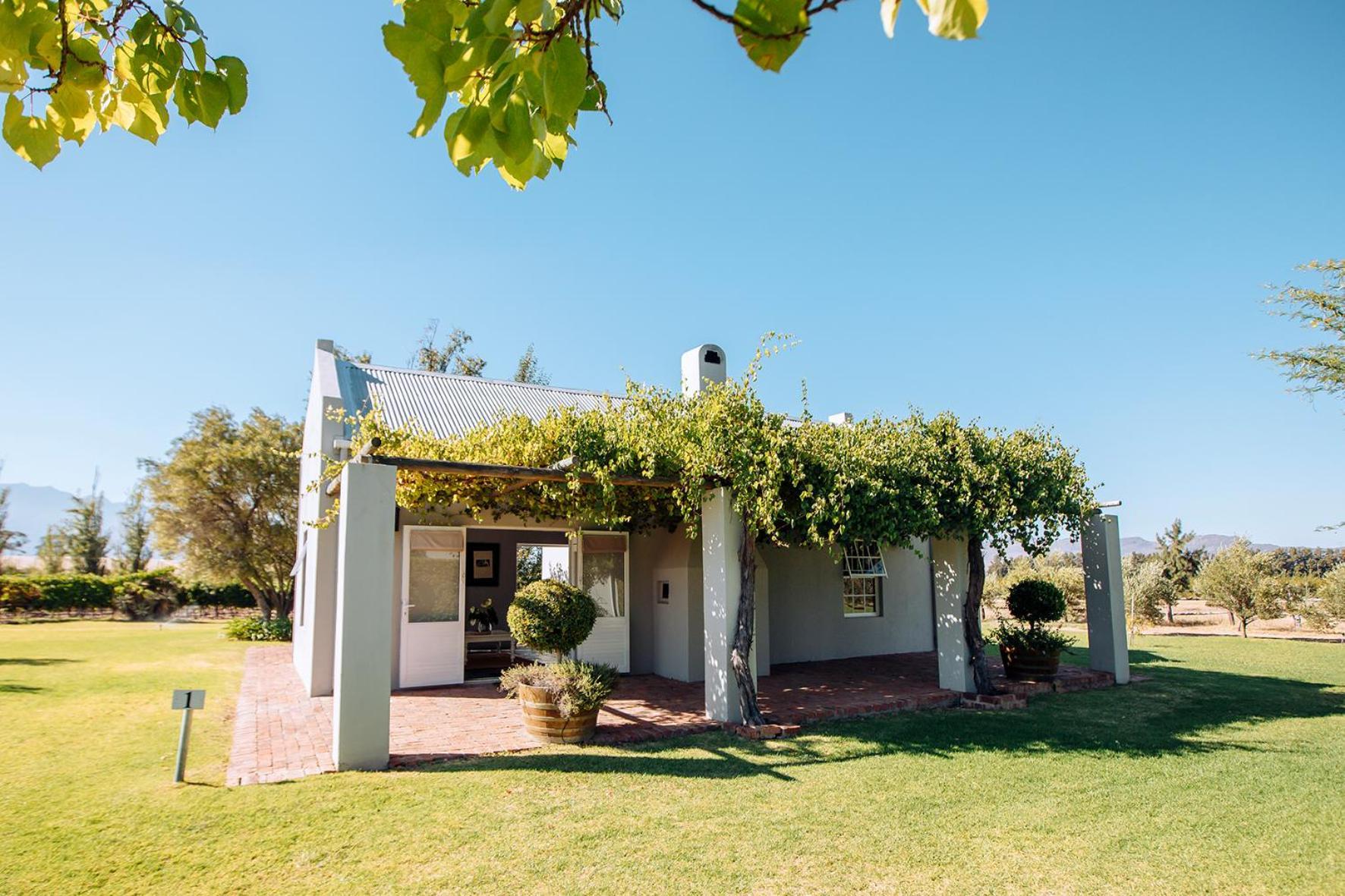 Saronsberg Vineyard Cottages Tulbagh Zewnętrze zdjęcie