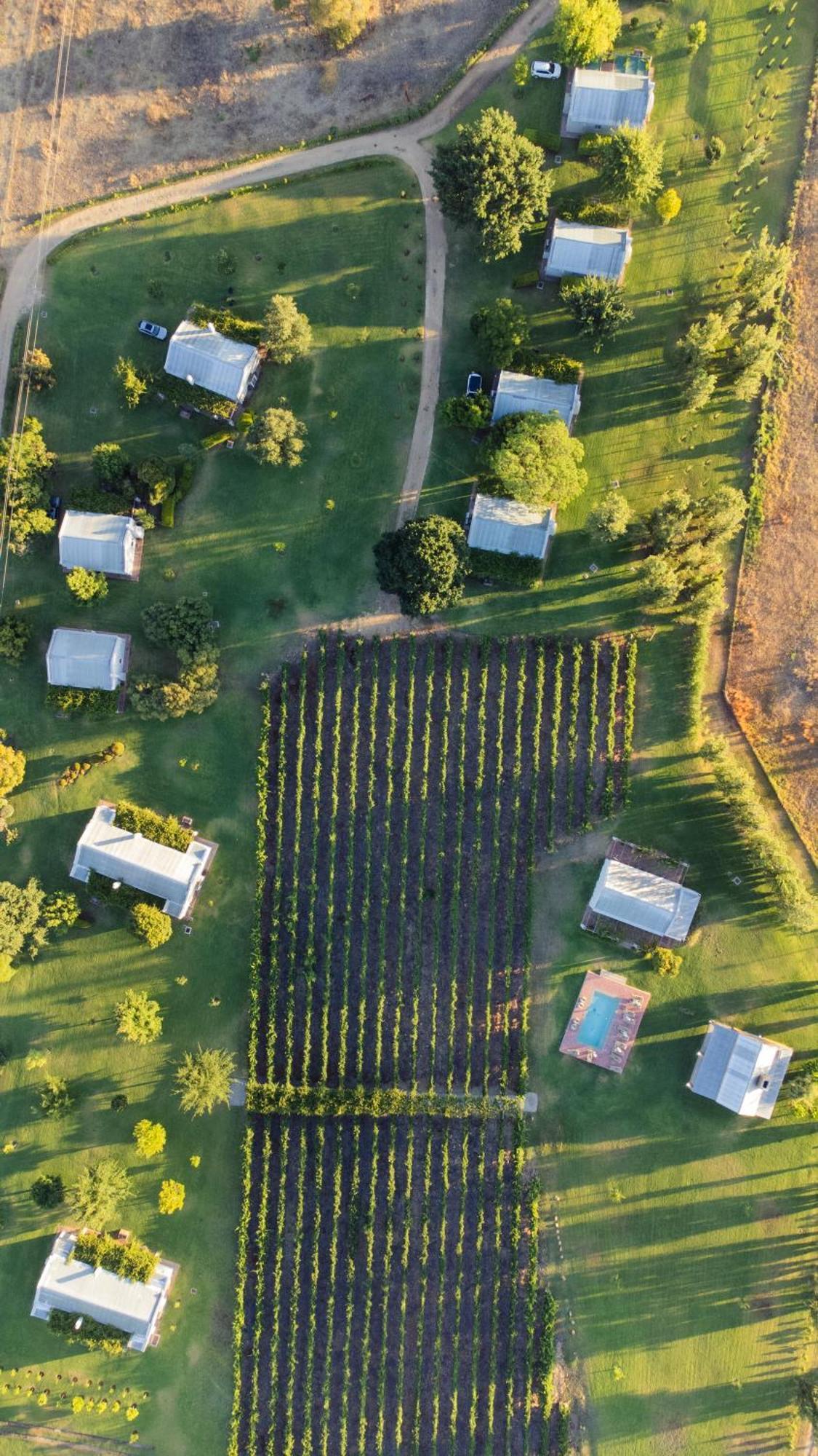 Saronsberg Vineyard Cottages Tulbagh Zewnętrze zdjęcie