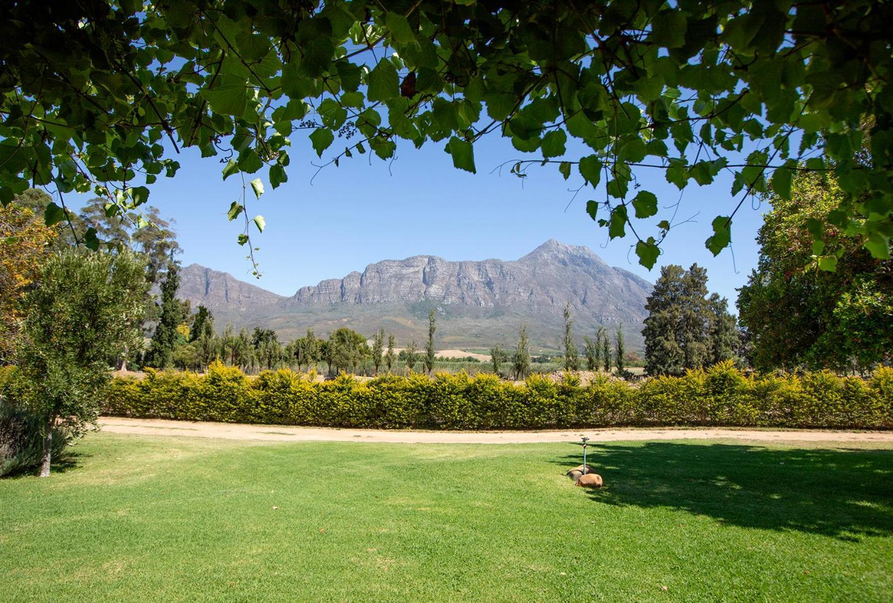 Saronsberg Vineyard Cottages Tulbagh Zewnętrze zdjęcie