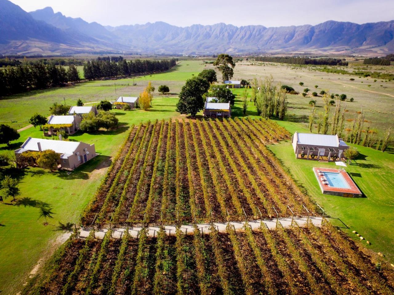 Saronsberg Vineyard Cottages Tulbagh Zewnętrze zdjęcie